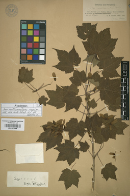 LE 01012866