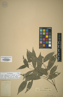 LE 01012879