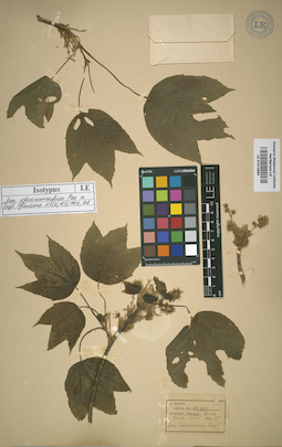 LE 01012884
