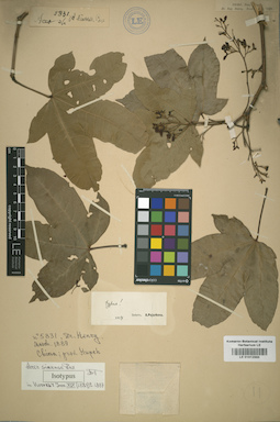 LE 01012885