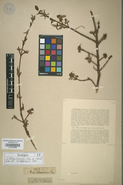 LE 01012886