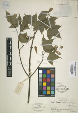 LE 01012887