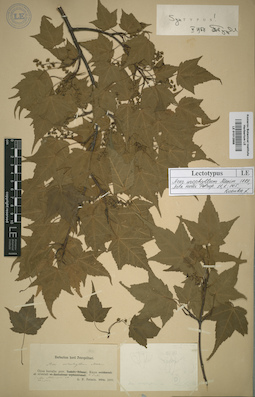 LE 01012888