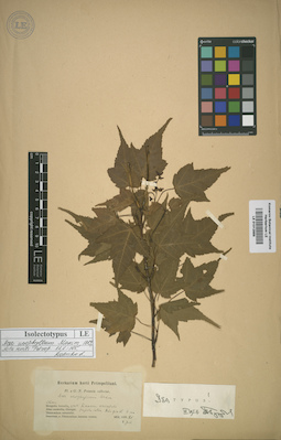 LE 01012889