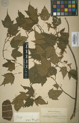 LE 01012890