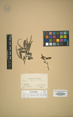 LE 01012912