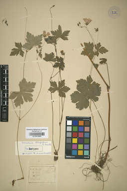 LE 01012952