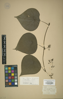 LE 01012967