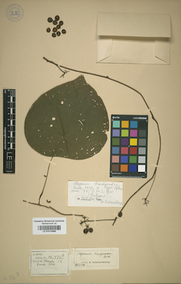 LE 01012968