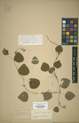 LE 01012970