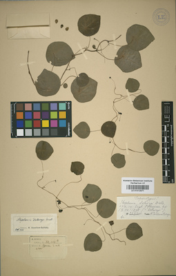 LE 01012971