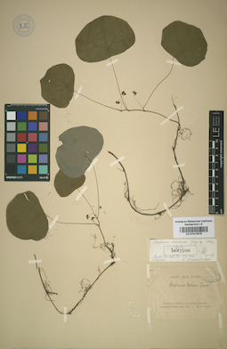 LE 01012976