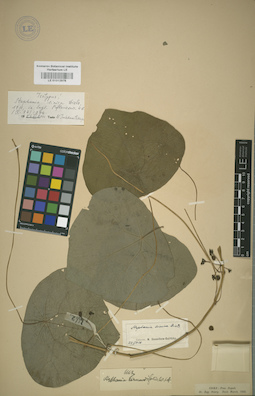 LE 01012978