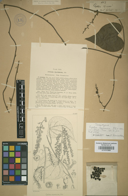 LE 01012983