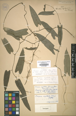 LE 01012985