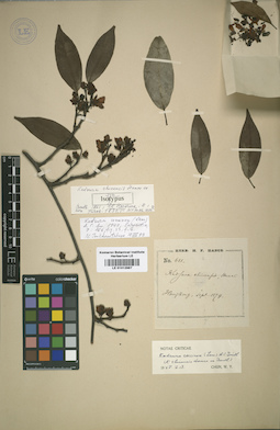 LE 01012987