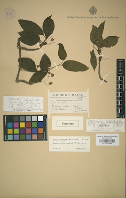 LE 01013004