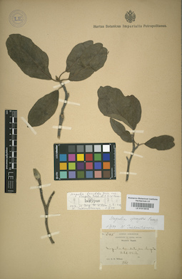 LE 01013016
