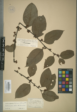 LE 01013020