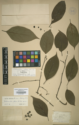 LE 01013021