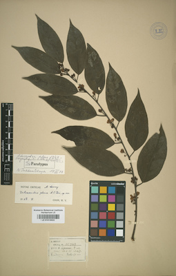 LE 01013022
