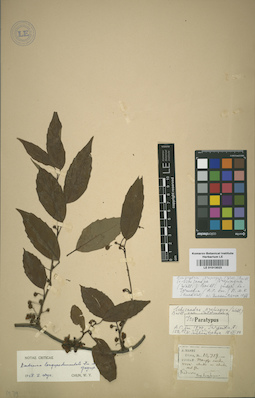 LE 01013023