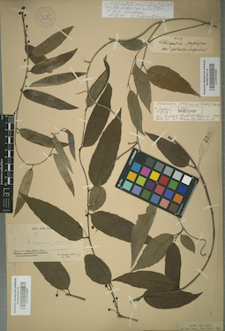 LE 01013027