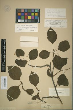 LE 01013028