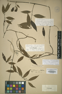 LE 01013030