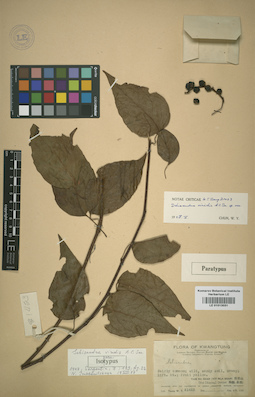LE 01013031