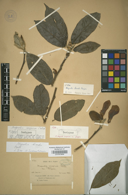 LE 01013034