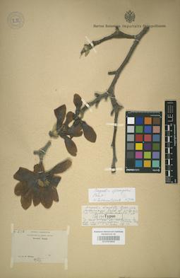 LE 01013042