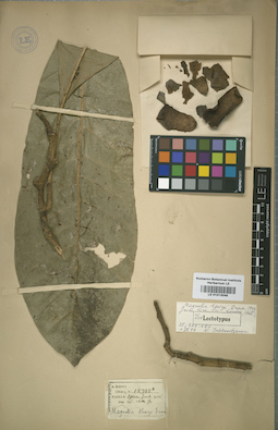 LE 01013046