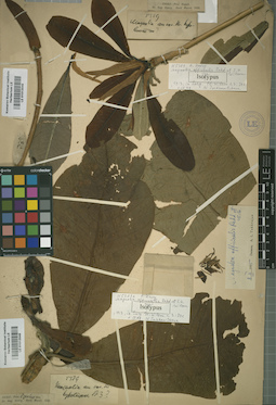 LE 01013049