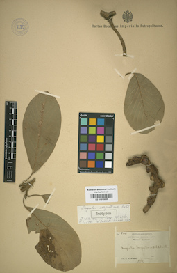LE 01013050