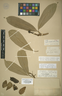 LE 01013052