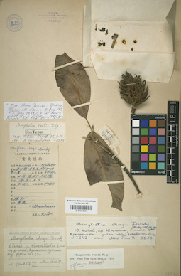 LE 01013054