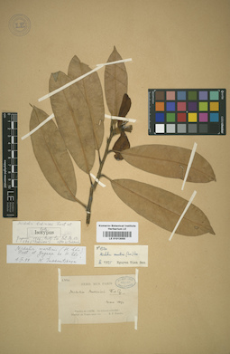 LE 01013055