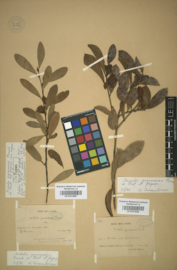 LE 01013057