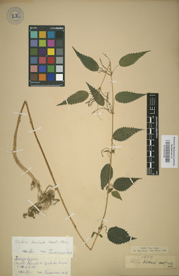 LE 01013109