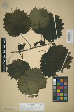 LE 01013119