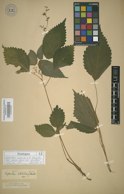 LE 01013120