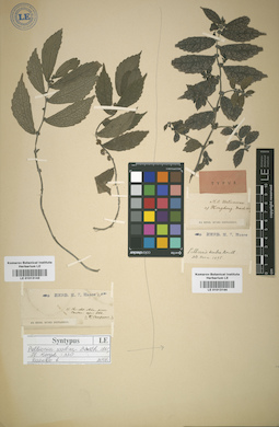LE 01013143