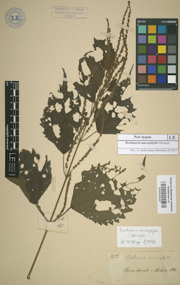 LE 01013147