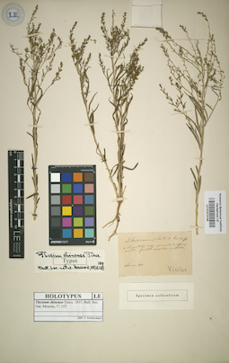 LE 01013148