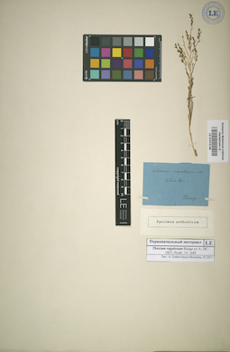 LE 01013149