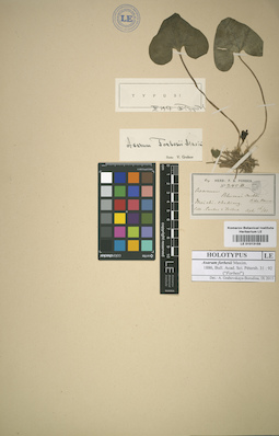 LE 01013155