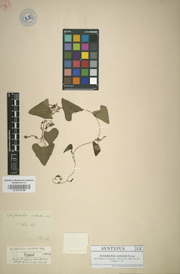 LE 01013156