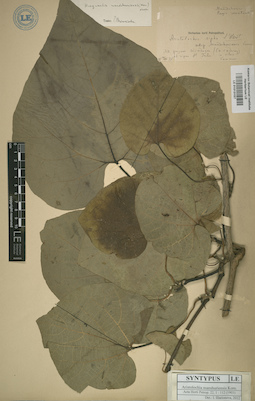 LE 01013157