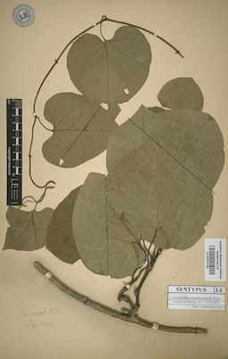 LE 01013158